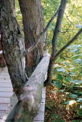 
Benches of wood and stone around the property provide resting places for quiet reflection.
